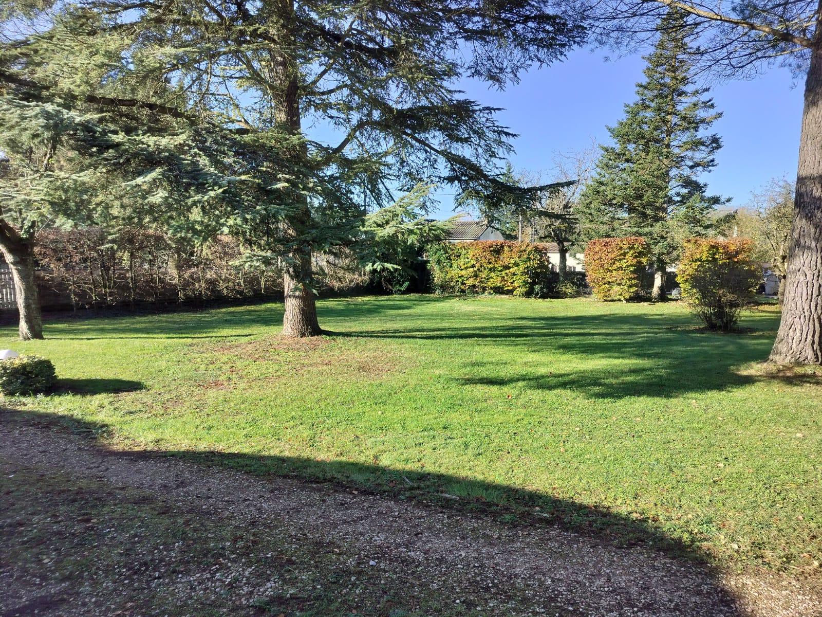 Service de tonte et entretien d'espaces verts